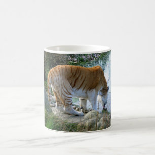 Indian Tiger animal Coffee Mug