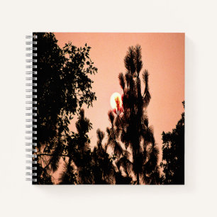 Indian Valley fire....... Notebook