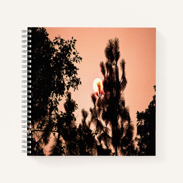 Indian Valley fire....... Notebook (Front)