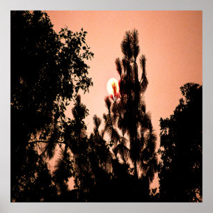 Indian Valley fire....... Poster