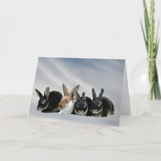 Indiana Babies ~ Blank inside Card