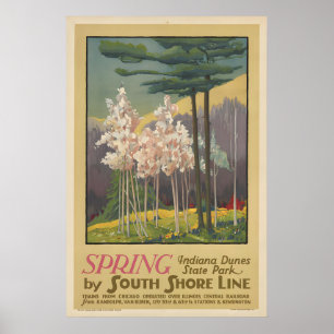 Indiana Dunes State Park Vintage Spring Travel Poster