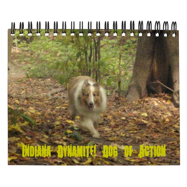 Indiana Dynamite ! Calendrier des chiens d'action (Protection)