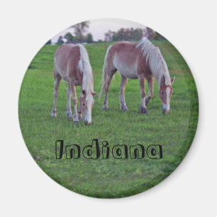 Indiana Horses Magnet