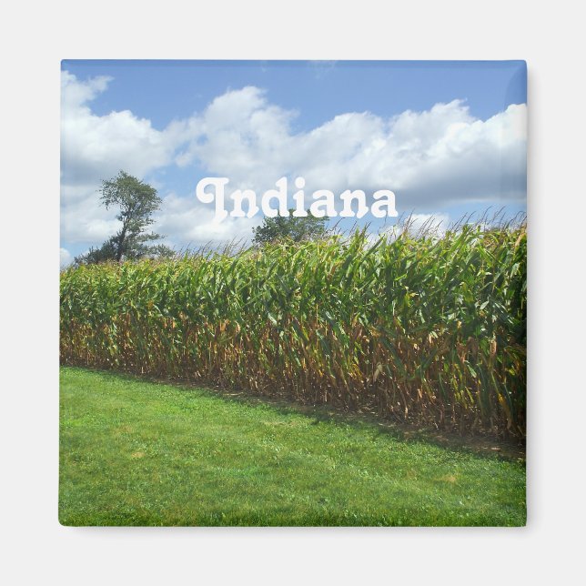 Indiana Magnet (Front)