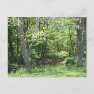 Indiana Outdoors Postcard