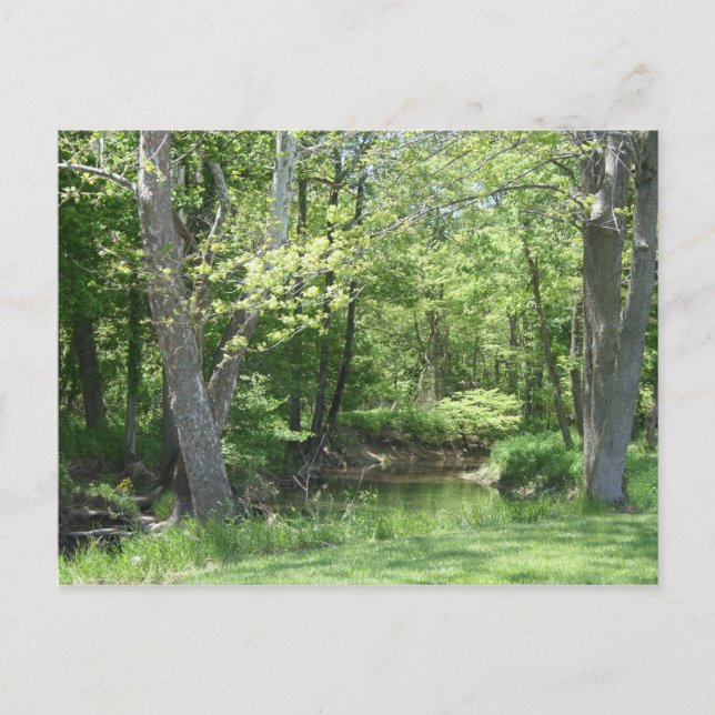 Indiana Outdoors Postcard (Front)