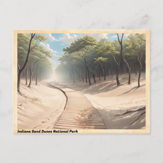 Indiana Sand Dunes National Park Vintage Travel Postcard (Front)