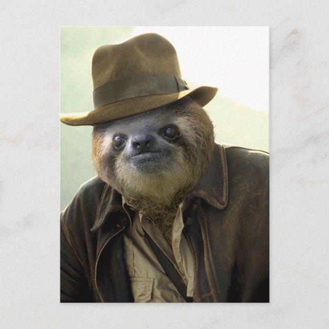 Indiana Sloth Postcard (Front)