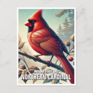 Indiana State Bird Northern Cardinal Postcard