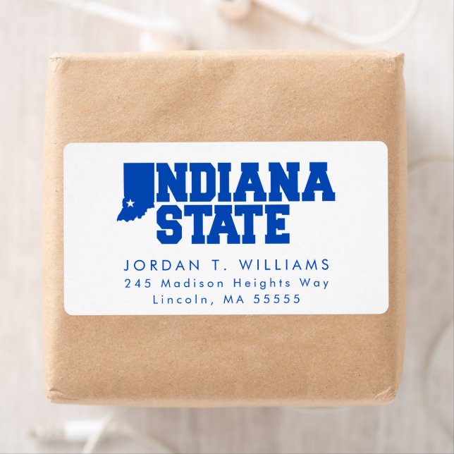 Indiana State Logo (Insitu)