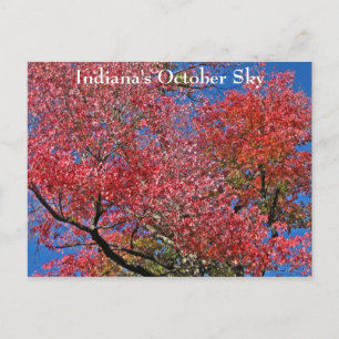 Indiana's October Sky Postcard