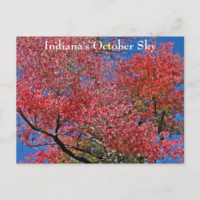 Indiana's October Sky Postcard (Front)
