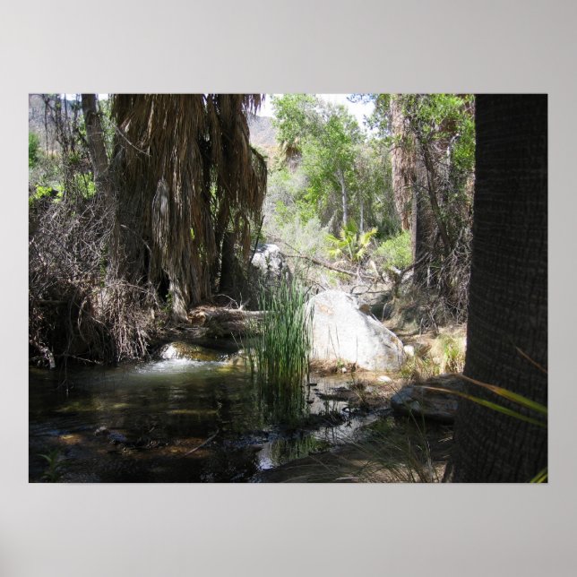 IndianCanyon (2) Poster (Front)