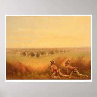 Indians Creeping up on a Herd of Buffalo (1907A) Poster
