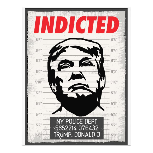 Indicted Donald Trump Photo Print (Front)