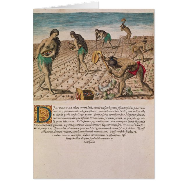 Indiens de la Floride plantant le maïs (Devant)