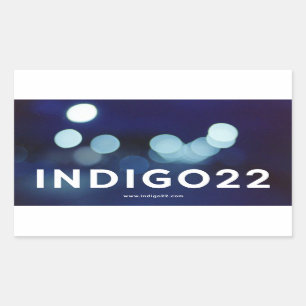 indigo22 sticker