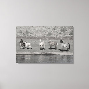 Indigo Band Canvas Print