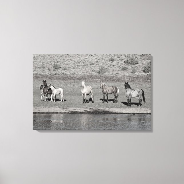 Indigo Band Canvas Print (Front)