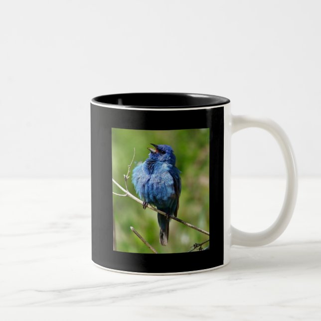 Indigo Bunting 1, Hot All Bird Actionwww.Birdch... Two-Tone Coffee Mug (Right)
