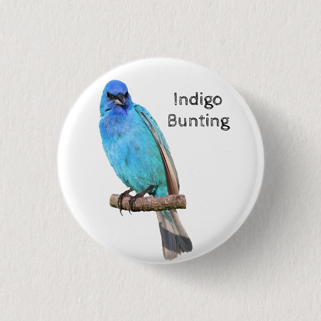Indigo Bunting 1 Inch Round Button (Front)