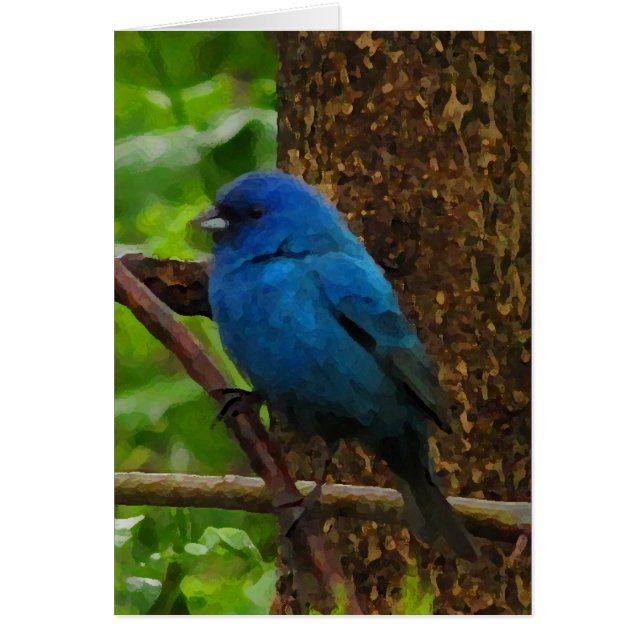 Indigo Bunting Blank Card (Front)
