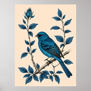 Indigo Bunting Bliss - A Song of Colours Poster
