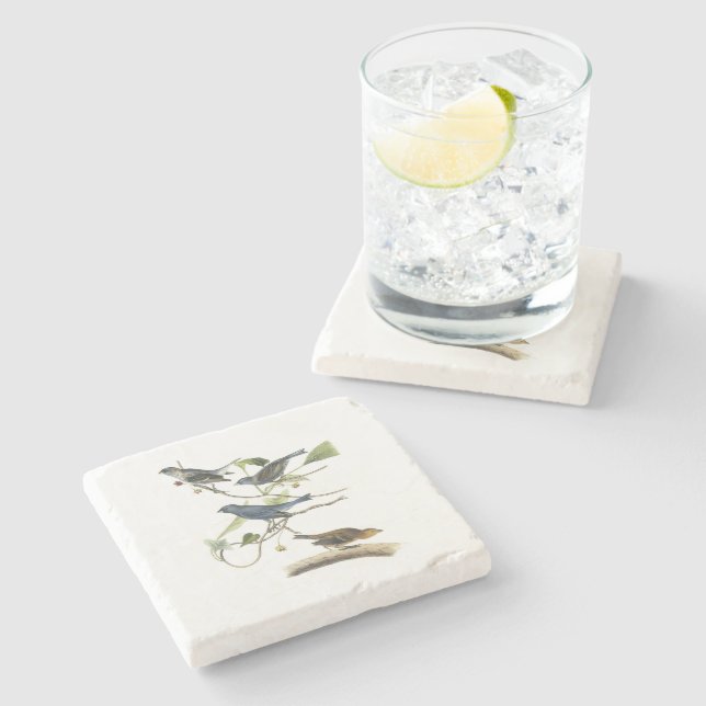 Indigo Bunting by Audubon Stone Coaster (Side)