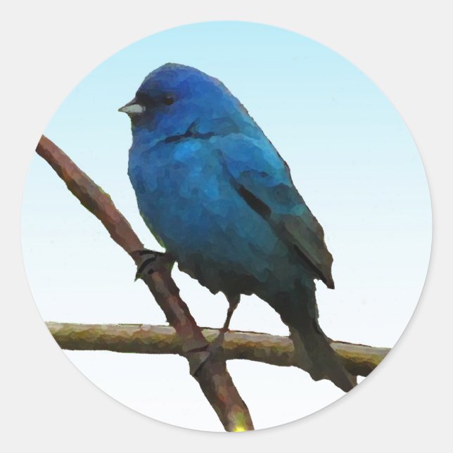Indigo Bunting Classic Round Sticker (Front)