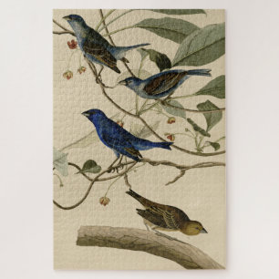Indigo Bunting from Audubon's Birds of America Jigsaw Puzzle
