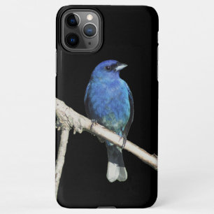 Indigo Bunting iPhone 11Pro Max Case