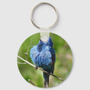 Indigo Bunting Keychain