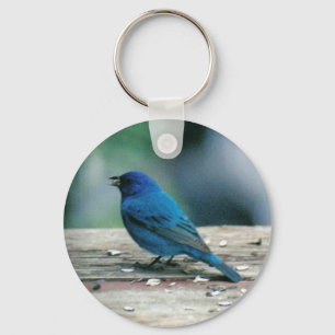 Indigo Bunting Keychain