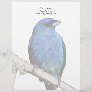 Indigo Bunting Letterhead
