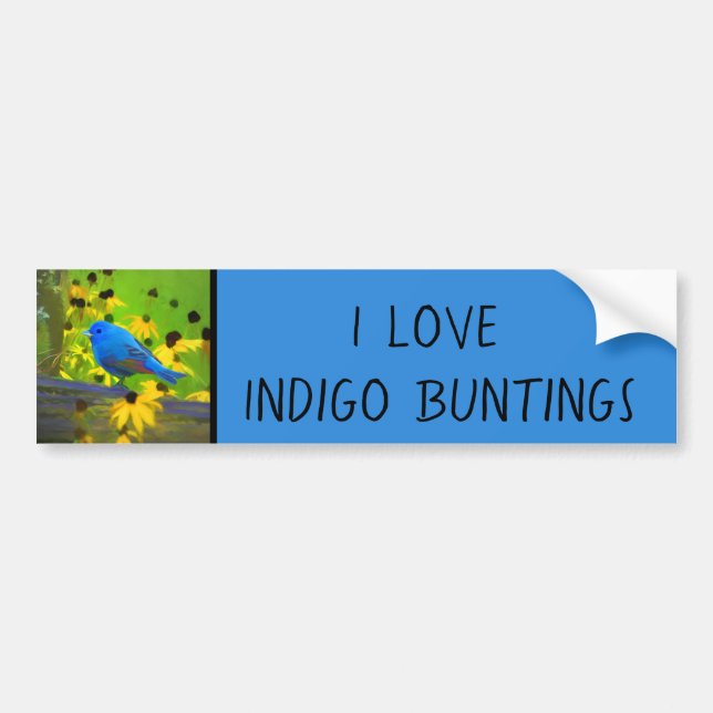 Indigo Bunting Painting - Original Bird Art Bumper Sticker (Front)