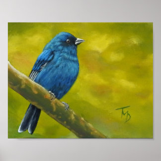 Indigo Bunting - Poster