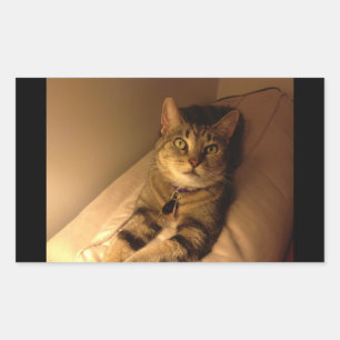 Indigo Model Pose Sticker