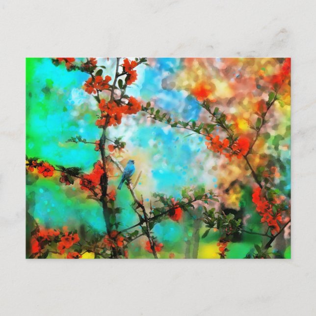 Indigo,postcards Postcard (Front)