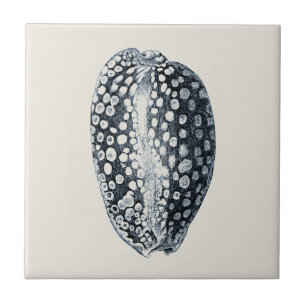 Indigo Seashell Tile