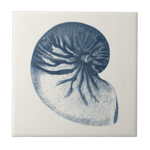 Indigo Shark Eye Seashell Tile