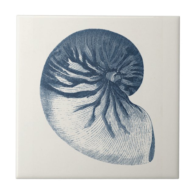 Indigo Shark Eye Seashell Tile (Front)
