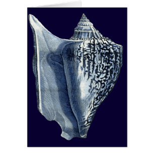 Indigo Shells I
