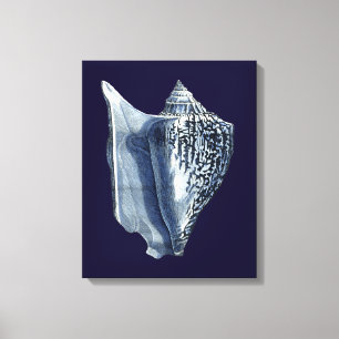 Indigo Shells I Canvas Print