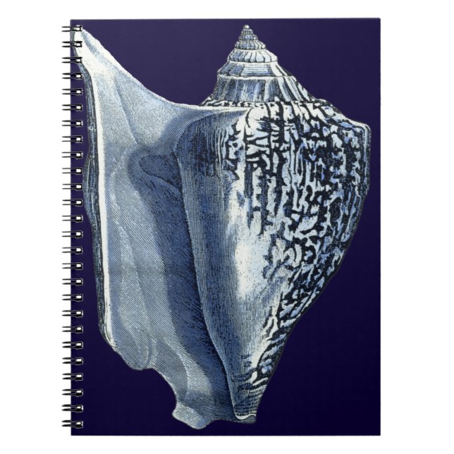 Indigo Shells I Notebook (Front)