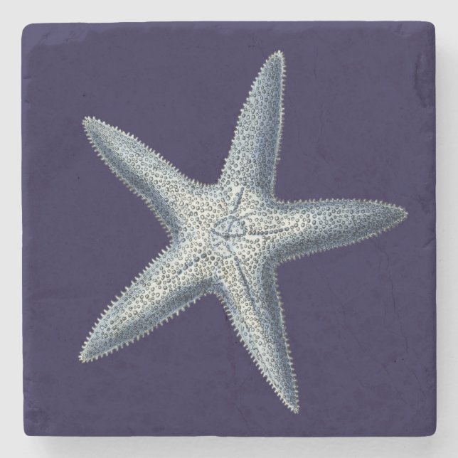 Indigo Shells IV Stone Coaster (Front)
