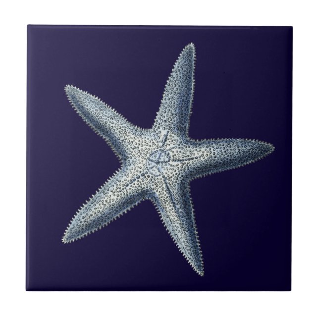 Indigo Shells IV Tile (Front)