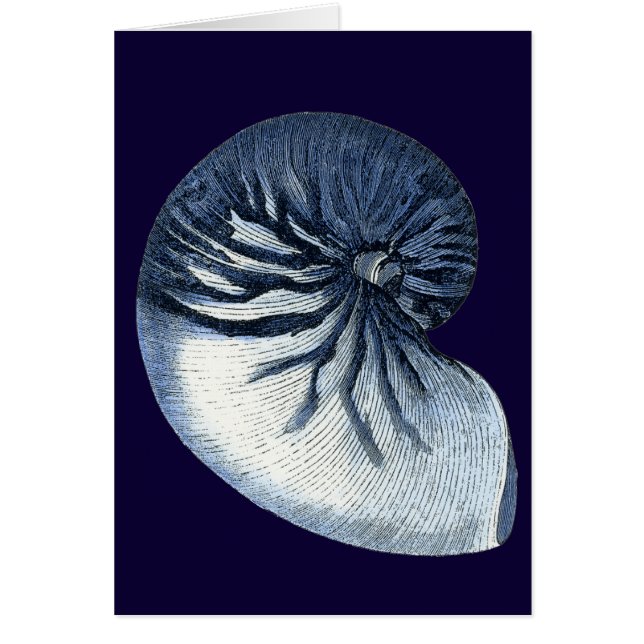 Indigo Shells VII (Front)