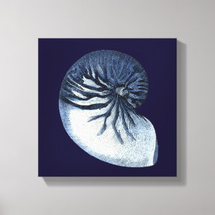 Indigo Shells VII Canvas Print
