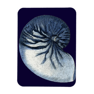 Indigo Shells VII Magnet